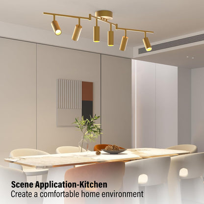 6 Light Heads Gold Track Lighting Kit