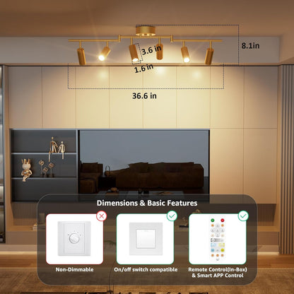 6 Light Heads Gold Track Lighting Kit