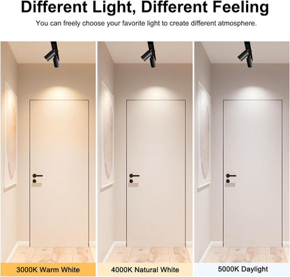 24V LED Spotlight Magnetic Track Lighting Head, Ceiling Downlight (10W/3000K)