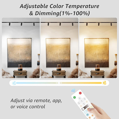 200W Low Voltage LED Power Driver Transformer with LED Controller