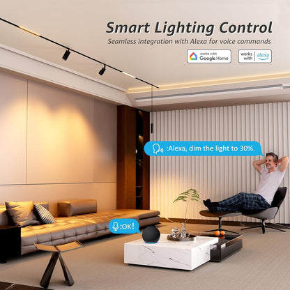 200W Low Voltage LED Power Driver Transformer with LED Controller