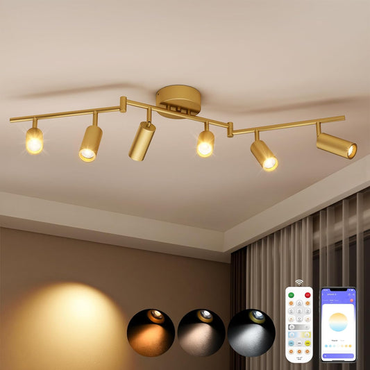 6 Light Heads Gold Track Lighting Kit