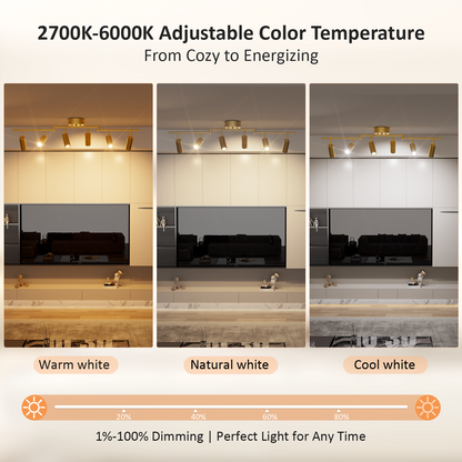 6 Light Heads Gold Track Lighting Kit