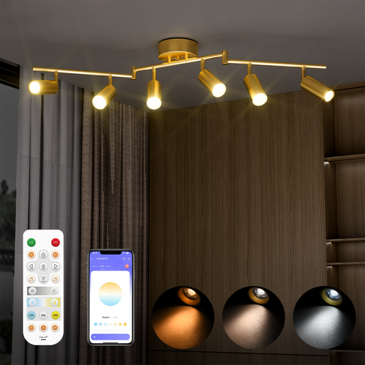 6 Light Heads Gold Track Lighting Kit
